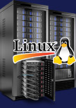 Аренда VDS сервера Linux с HDD в Германии