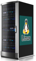 Аренда сервера VPS 1, Linux